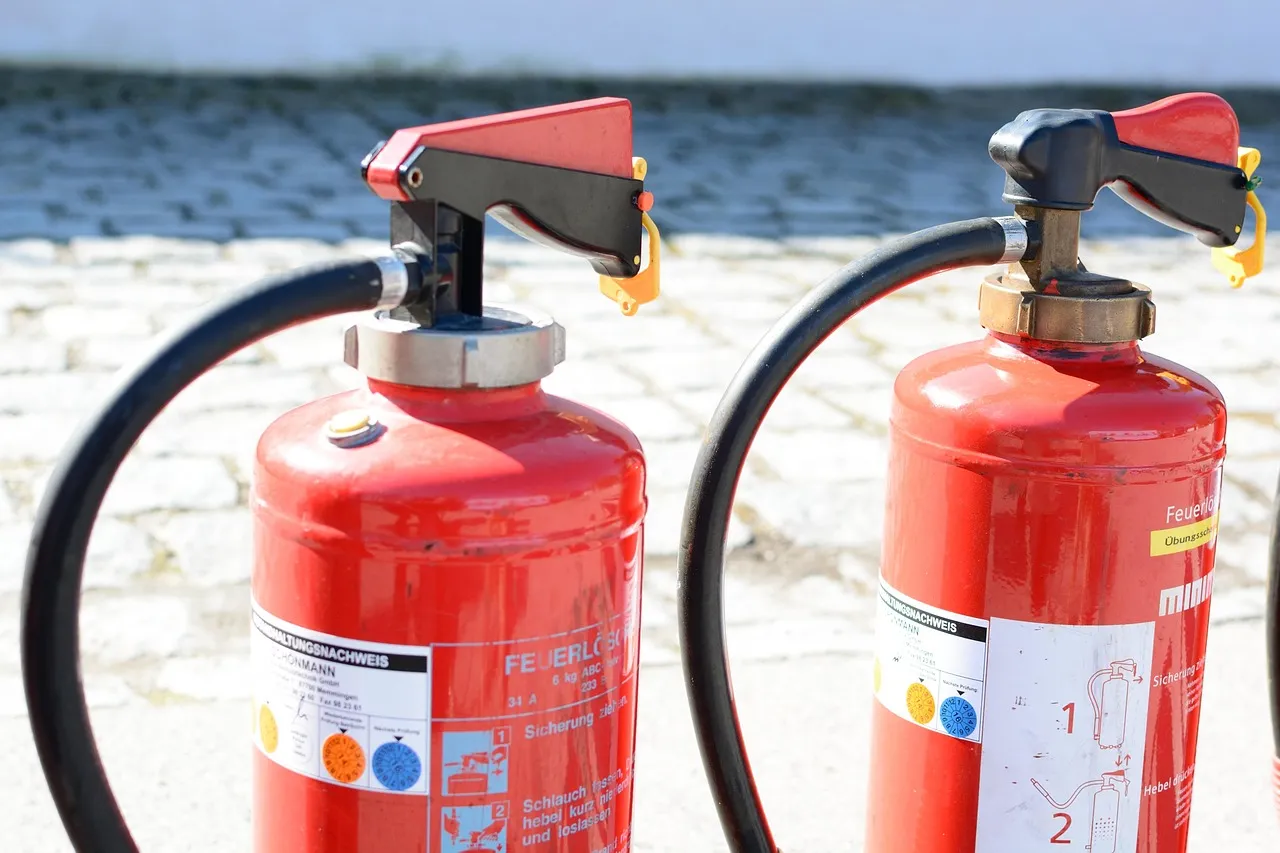 Ansul® Sentry 5 lb ABC Fire Extinguisher w/ Wall Hook